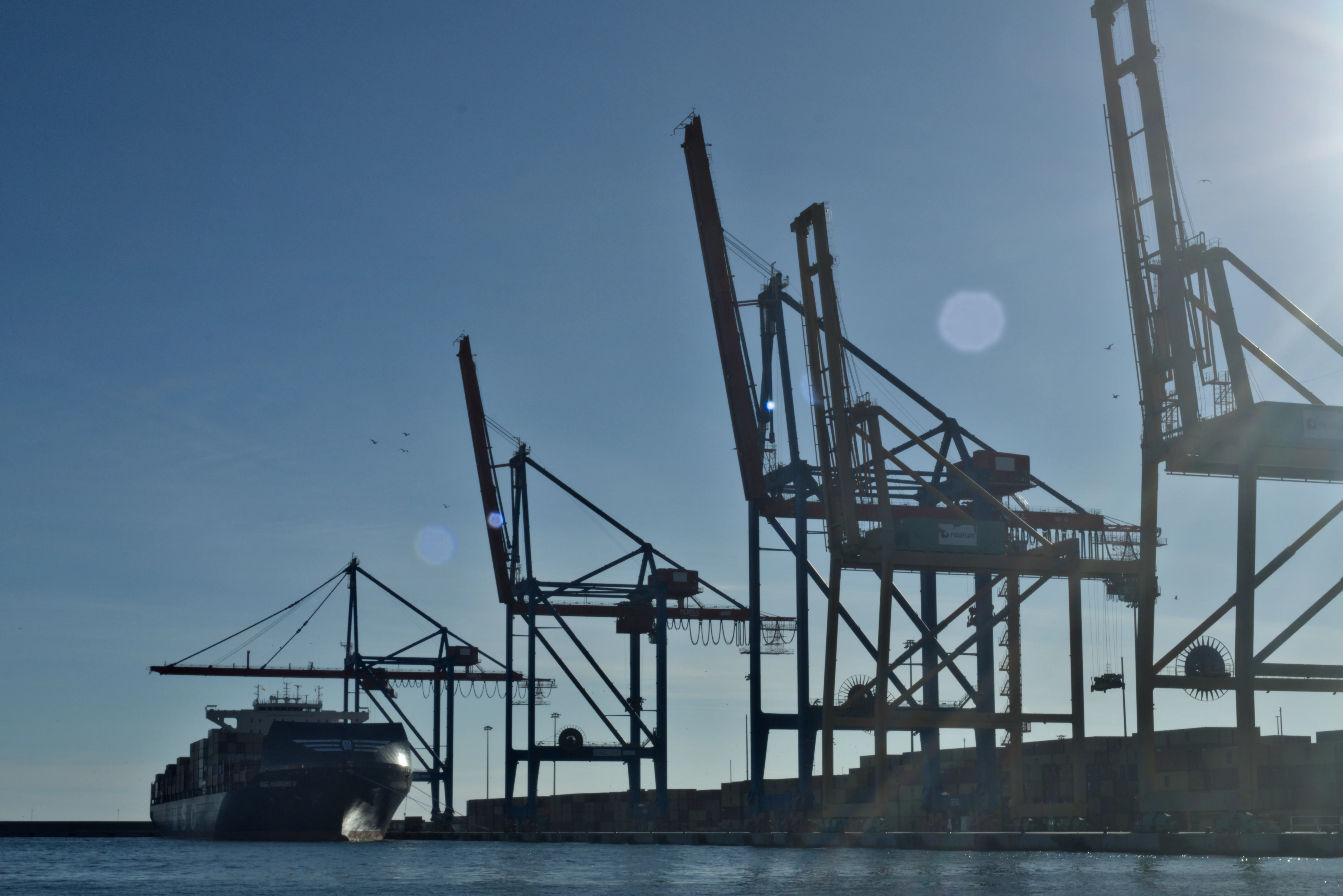 Meyer-Optik Görlitz Primagon 35mm f4.5 (M42) - _I4A4244.webp